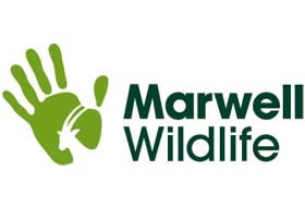 Technology brings visitors closer to nature at Marwell Zoo