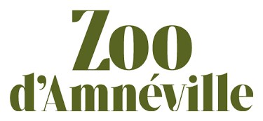 Optoma once again captivates audiences with the world's largest holographic cinema experience