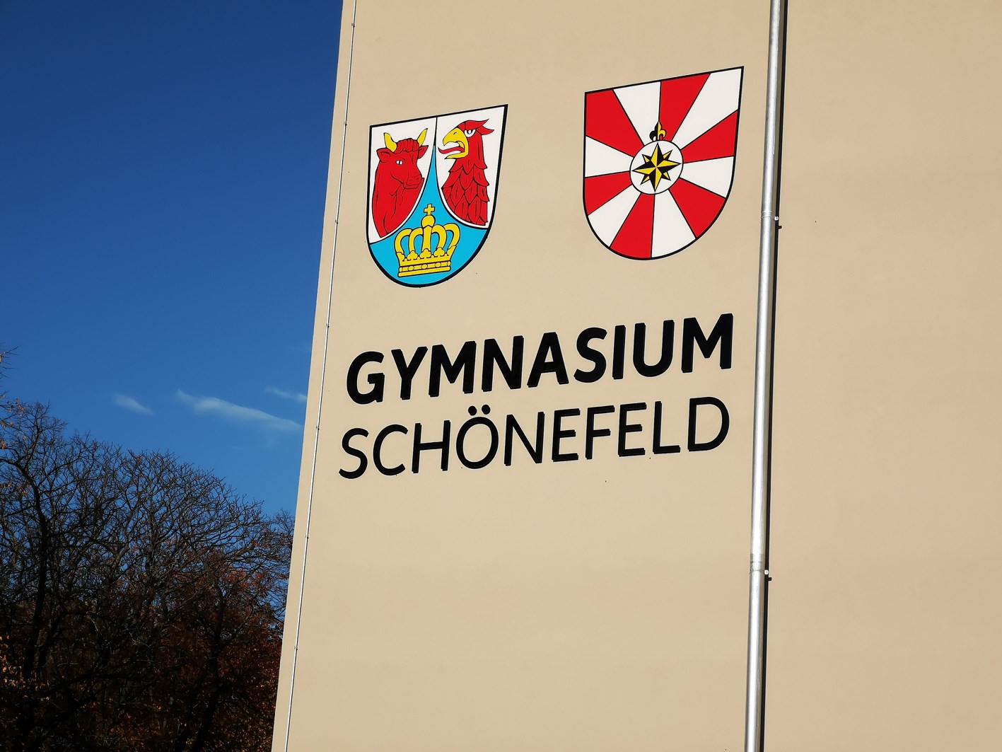 Digital transformation in classrooms with Optoma's Creative Touch 5-series interactive displays